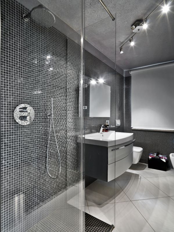 Sleek Shower Enclosure